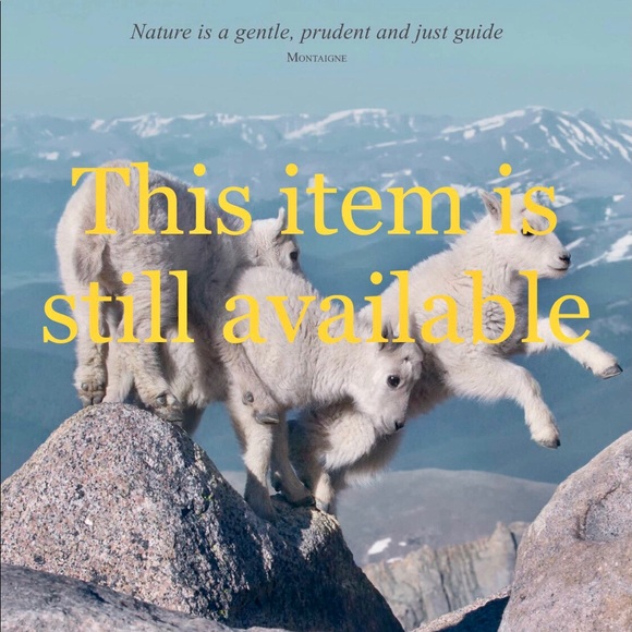 Authentic♥️ Louis Vuitton Beige Patent Leather Accessory Pouch Baguette - Picture 5 of 16